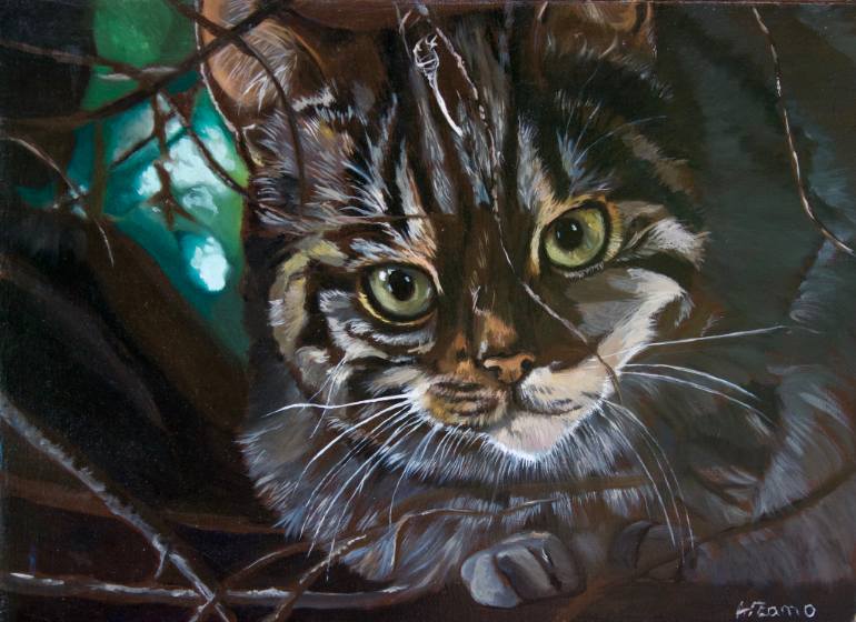 770x560 Saatchi Art Scottish Wildcat Painting By Anne Zamo - Wildcat Painting