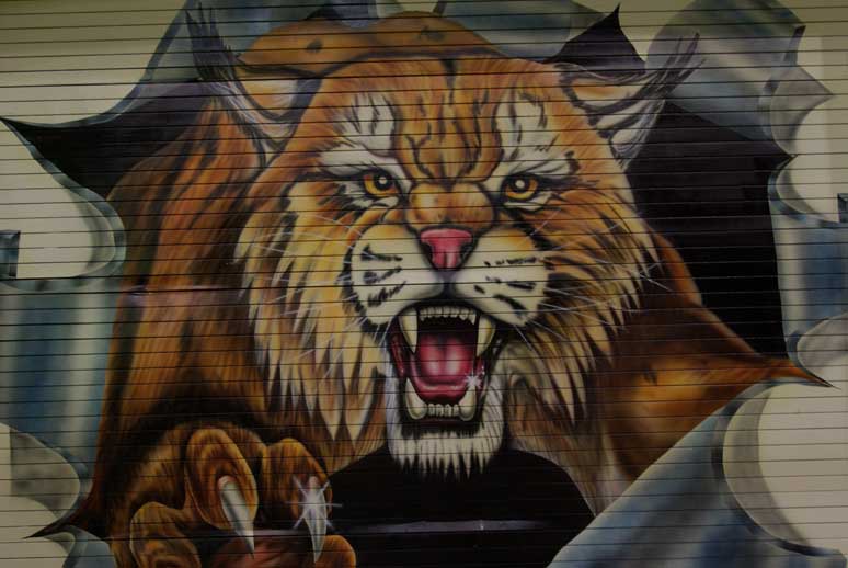 774x518 Weber State University - Wildcat Painting