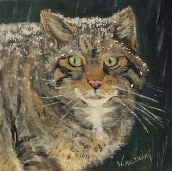 601x600 Scottish Wildlife Painting Wendy Malowany - Wildcat Painting