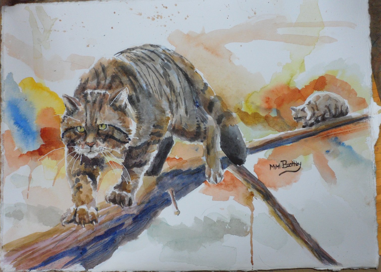1510x1080 Wildcat Watercolors By Mimi Torchia Boothby Page 2 - Wildcat Painting