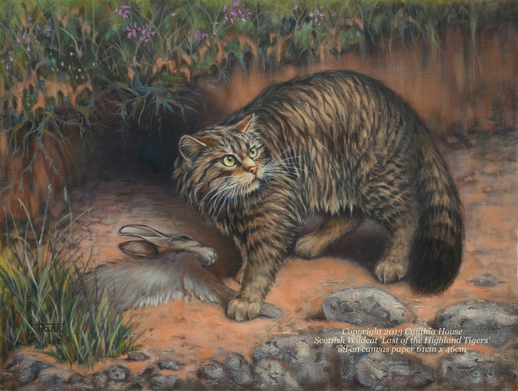 1060x800 Featured Paintings - Wildcat Painting