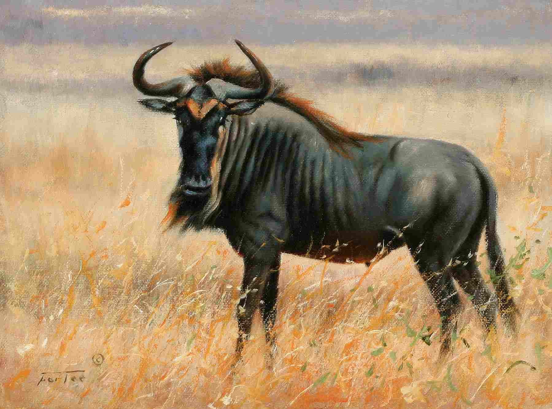 1799x1334 Animal Canvas Painting - Wildebeest Painting.