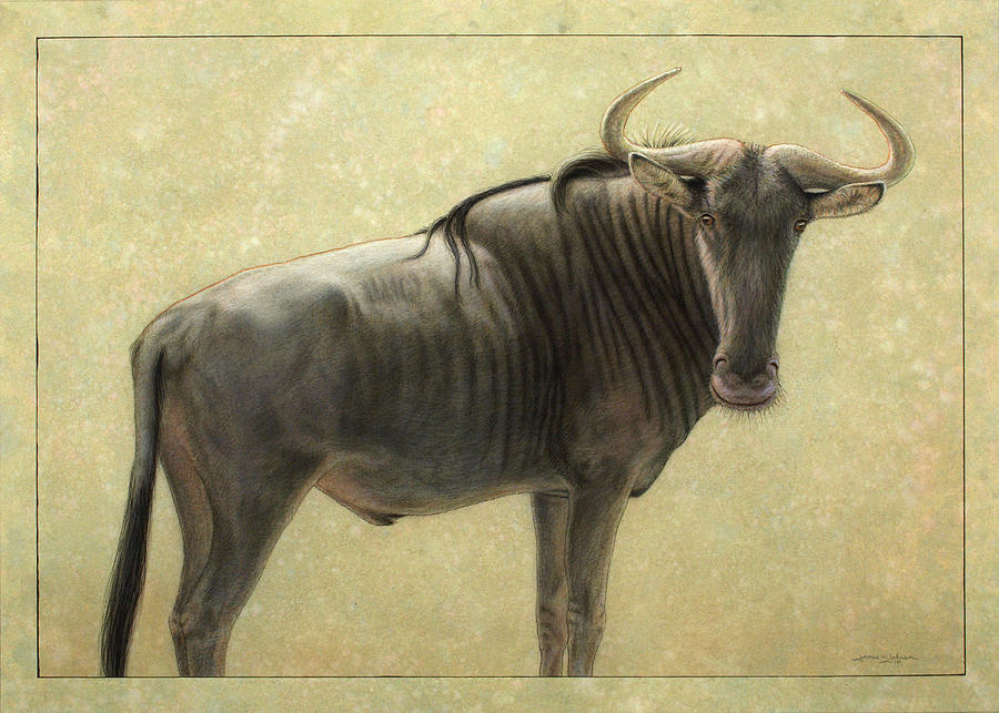 900x643 Wildebeest Painting By James W Johnson - Wildebeest Painting