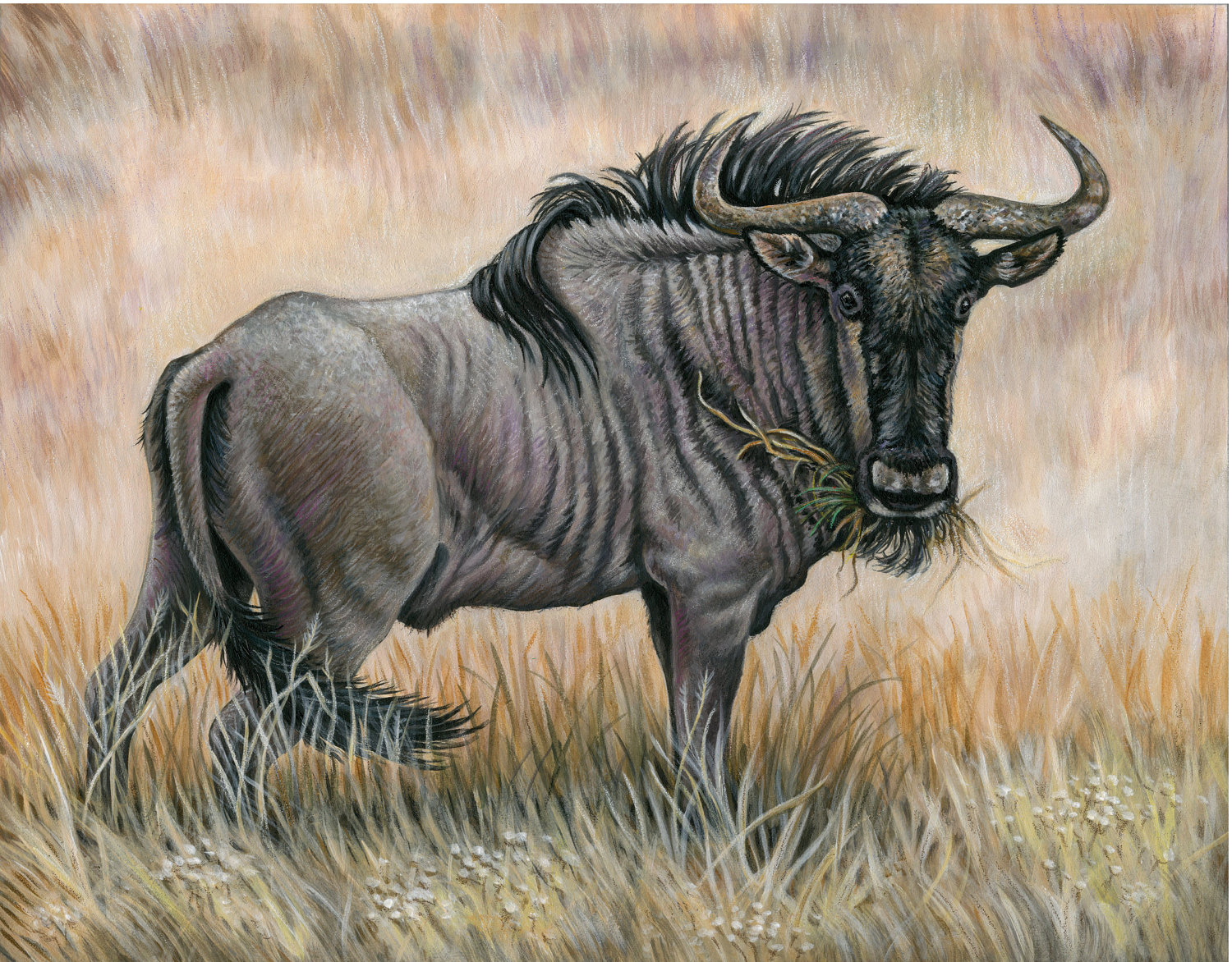 Wildebeest Print - W. 