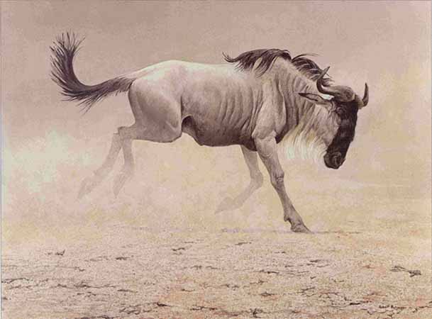 609x450 Wildlife Art Prints Plus Original Paintings With A Wide Selection - Wildebeest Painting