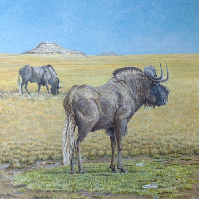 700x699 Black Wildebeest In Acrylic Murray Ralfe Art - Wildebeest Painting