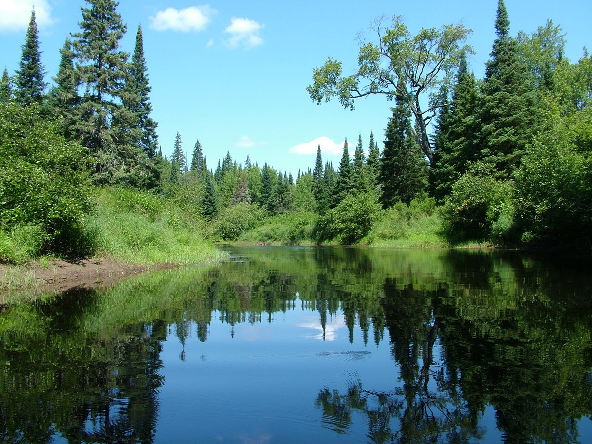 1200x900 Painting The Wilderness Of The Oxtongue Official Trailer - Wilderness Painting