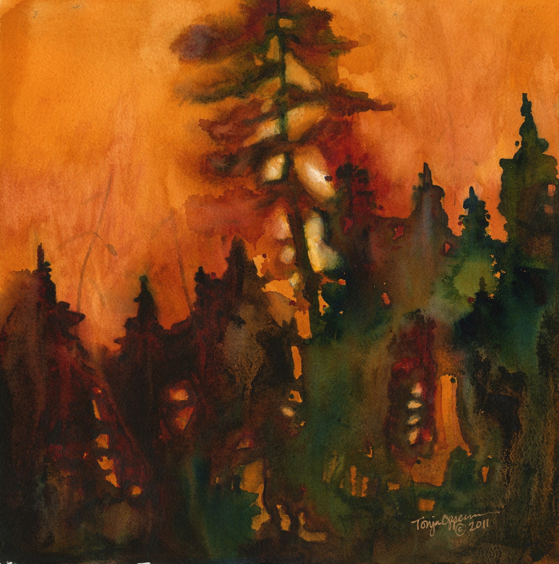 1920x1938 Hmmm So You Paint What - Wildfire Painting