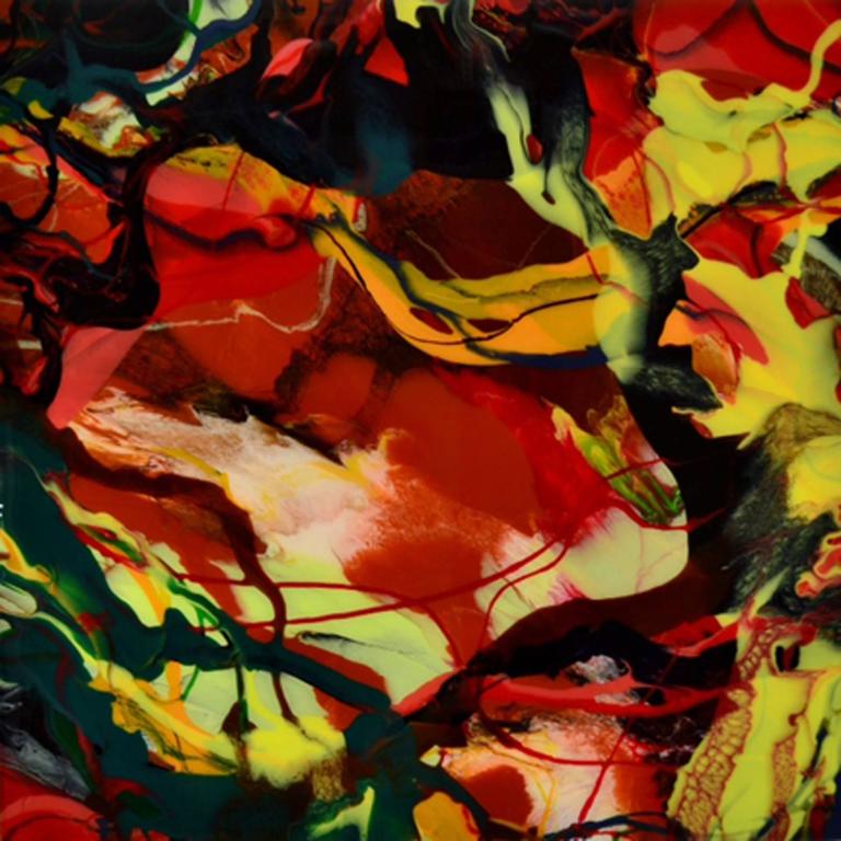 768x768 Barbara Bilotta - Wildfire Painting