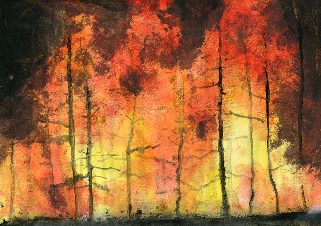 1088x768 Beast The Wild Fire Rejinces - Wildfire Painting