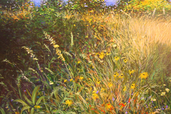 576x384 Wildflower Paintings, Nature Paintings By Bruce Tinch - Wildflower Painting