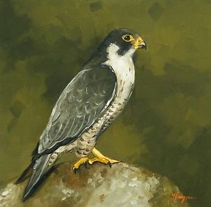 300x294 Original Oil Painting - Wildlife Oil Painting