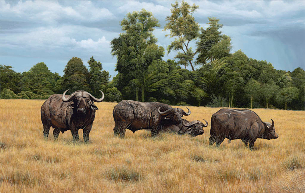 1000x633 Wildlife Oil Painting Gallery By Chris Robitaille - Wildlife Oil Painting