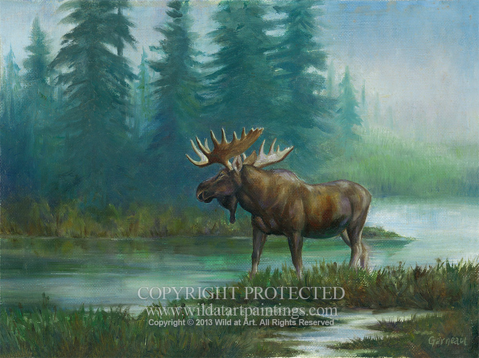 936x700 Wildlife Paintings Art Gallery - Wildlife Oil Painting