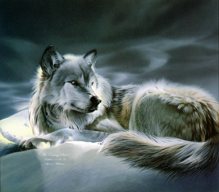 432x379 Animal Amp Wildlife Oil Paintings ~ Original Oil Painting - Wildlife Oil Painting