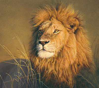 400x353 Special Offer High Quality Art Oil Painting Lion Art Top Wildlife - Wildlife Oil Painting