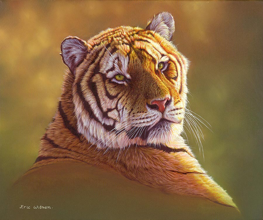 900x756 Eric Wilson Wildlife Artist Tiger Paintings - Wildlife Oil Painting