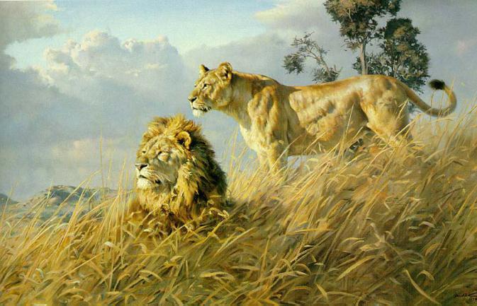 673x433 Donald Grant Wildlife Paintings - Wildlife Painting