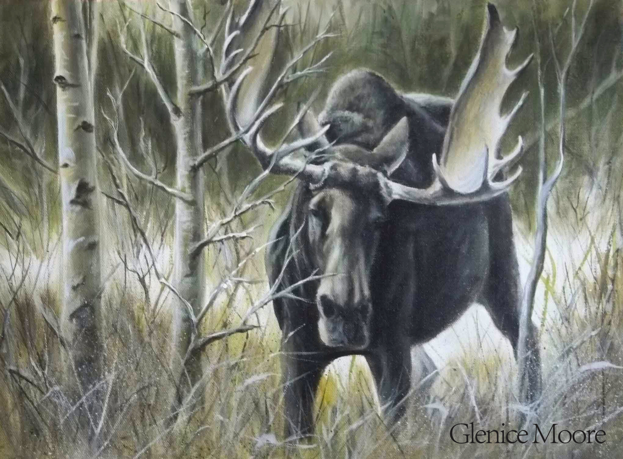 2037x1500 How To Paint A Moose - Wildlife Painting
