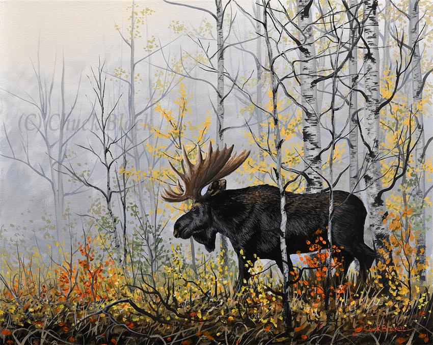 850x678 Original Landscape And Wildlife Paintings By Chuck Black - Wildlife Painting