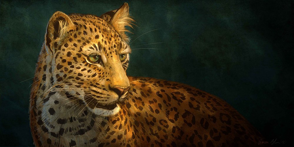 1000x500 Photoshop Wildlife Painting Series - Wildlife Painting