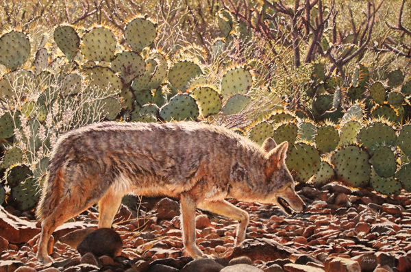 600x397 Sue Gombus, Pastel Wildlife Painting, Conservation Art, Southwest Art - Wildlife Painting