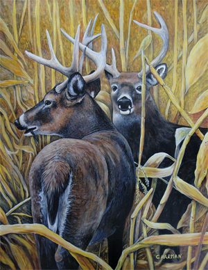 300x388 Wildlife Art Paintings - Wildlife Painting