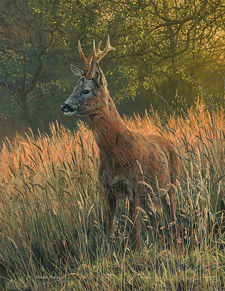 452x585 Wildlife Paintings For Sale - Wildlife Painting
