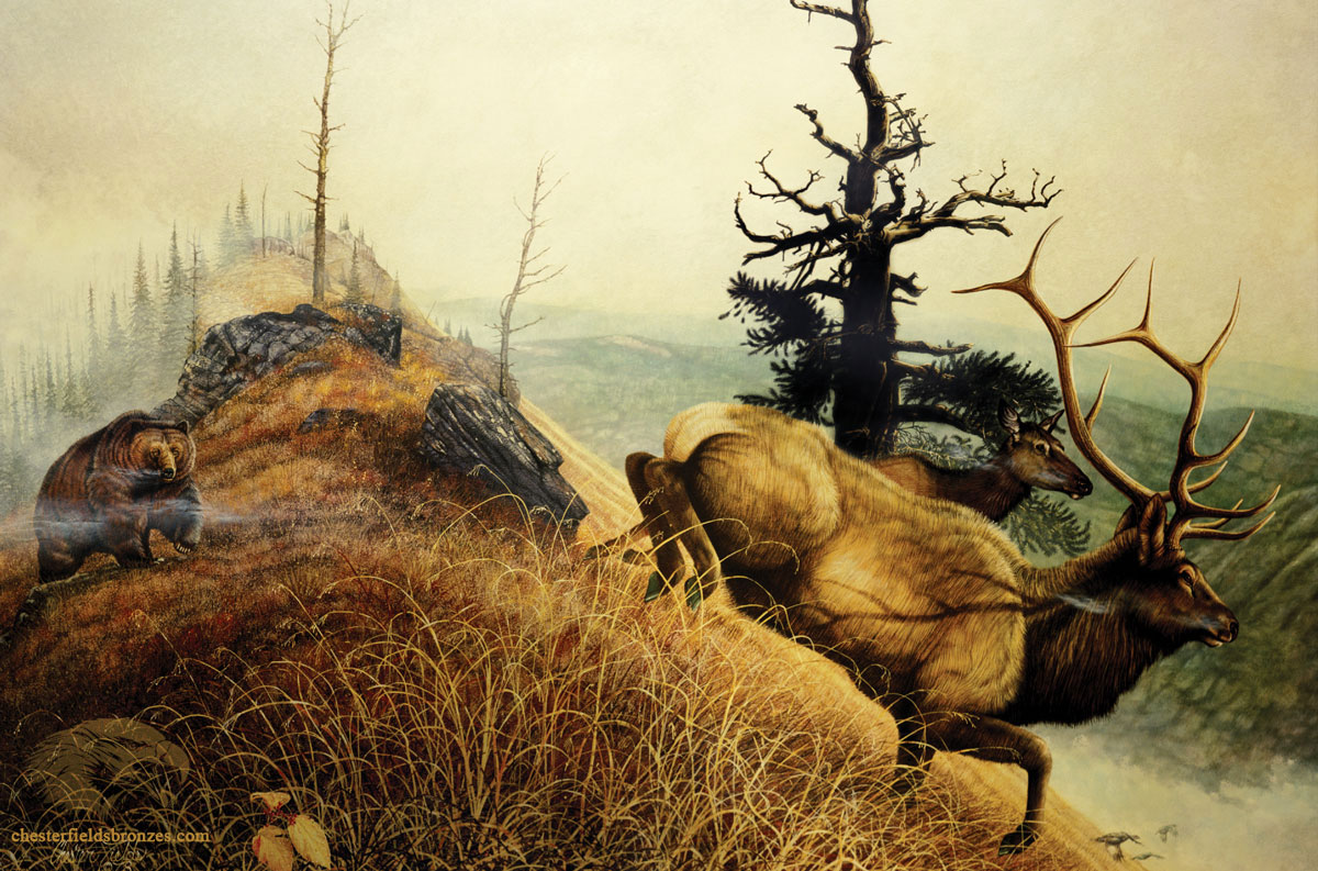 1200x793 Close Encounter Wildlife Art Bear Amp Bull Elk Painting - Wildlife Painting