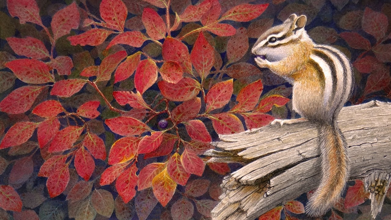 1280x720 Creating A Wildlife Painting - Wildlife Painting