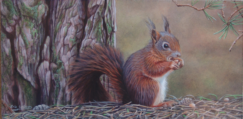 1000x488 Eric Wilson Wildlife Artist British Wildlife Art - Wildlife Painting Artists