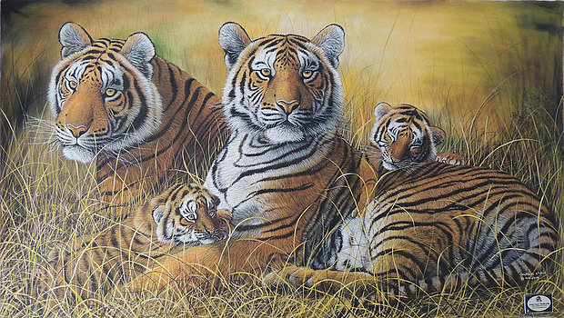 620x350 Hukam Chand Wildlife Artist - Wildlife Painting Artists