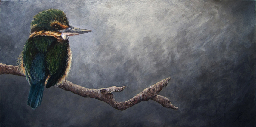 851x422 Kotare New Zealand Kingfisher Pastel Artwork By Wildlife Artist - Wildlife Painting Artists