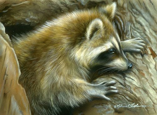 504x371 Latham Wildlife Art Nature Paintings Amp Miniature Paintings - Wildlife Painting Artists