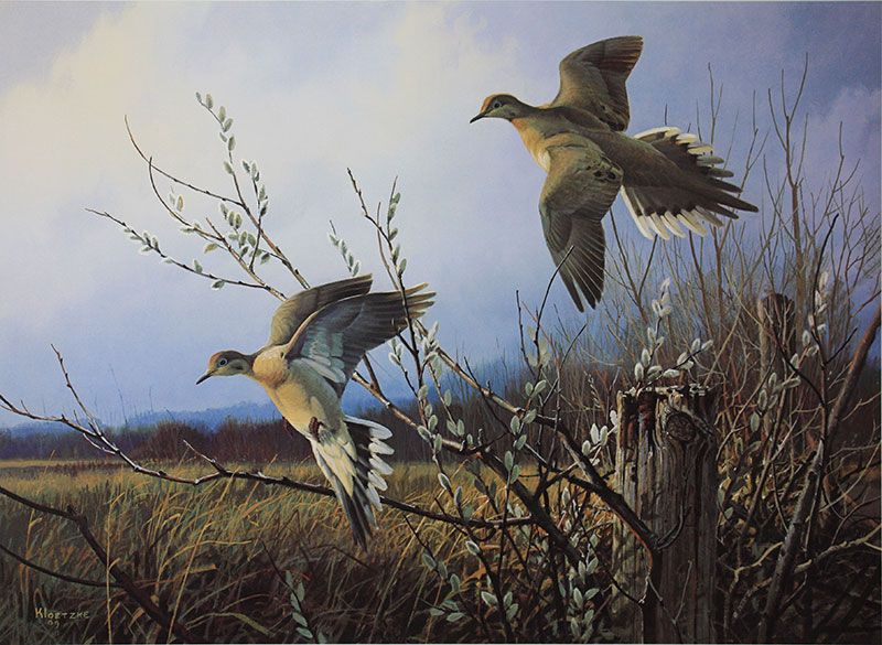 800x585 Thunder Mountain Press Wildlife Art Magazines, Wildlife Art - Wildlife Painting Artists