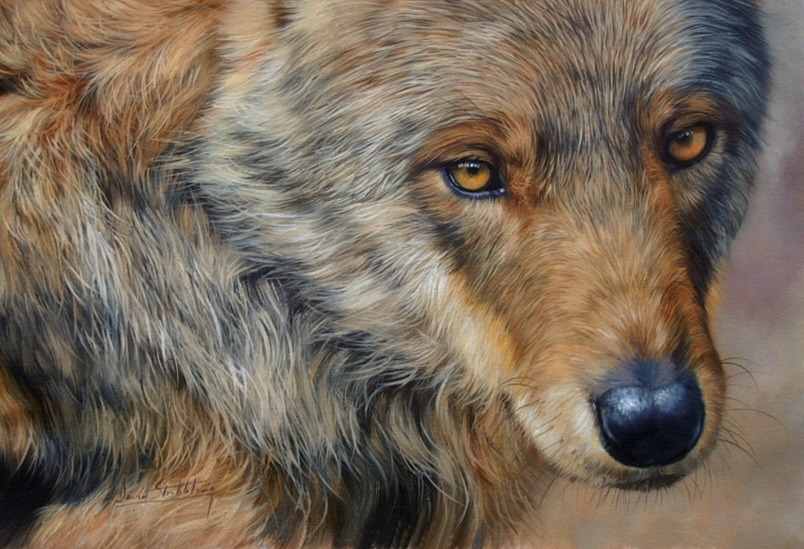 723x494 Wildlife Art,wildlife Artist,original Paintings Of Animals - Wildlife Painting Artists