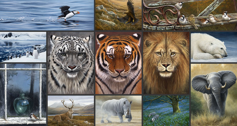 820x435 Wildlife Artist Dr. Jeremy Paul - Wildlife Painting Artists
