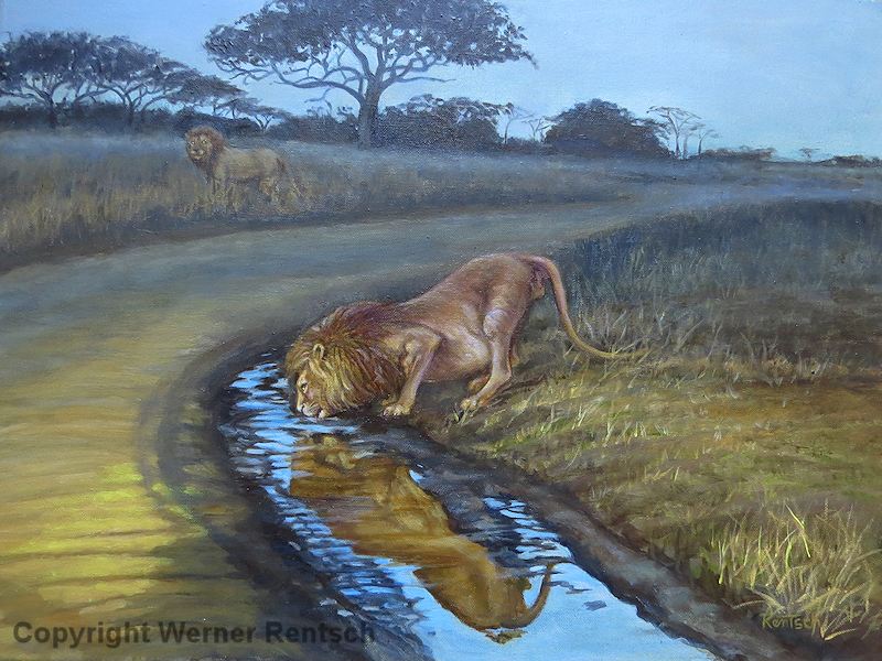 800x600 Wildlife Artist Werner Rentsch Wildlife Art Artists - Wildlife Painting Artists