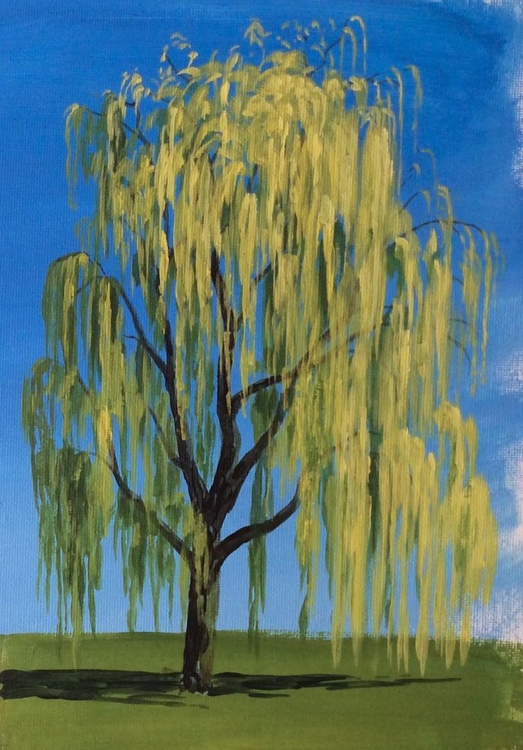 736x1054 Learn How To Paint A Willow Tree - Willow Painting