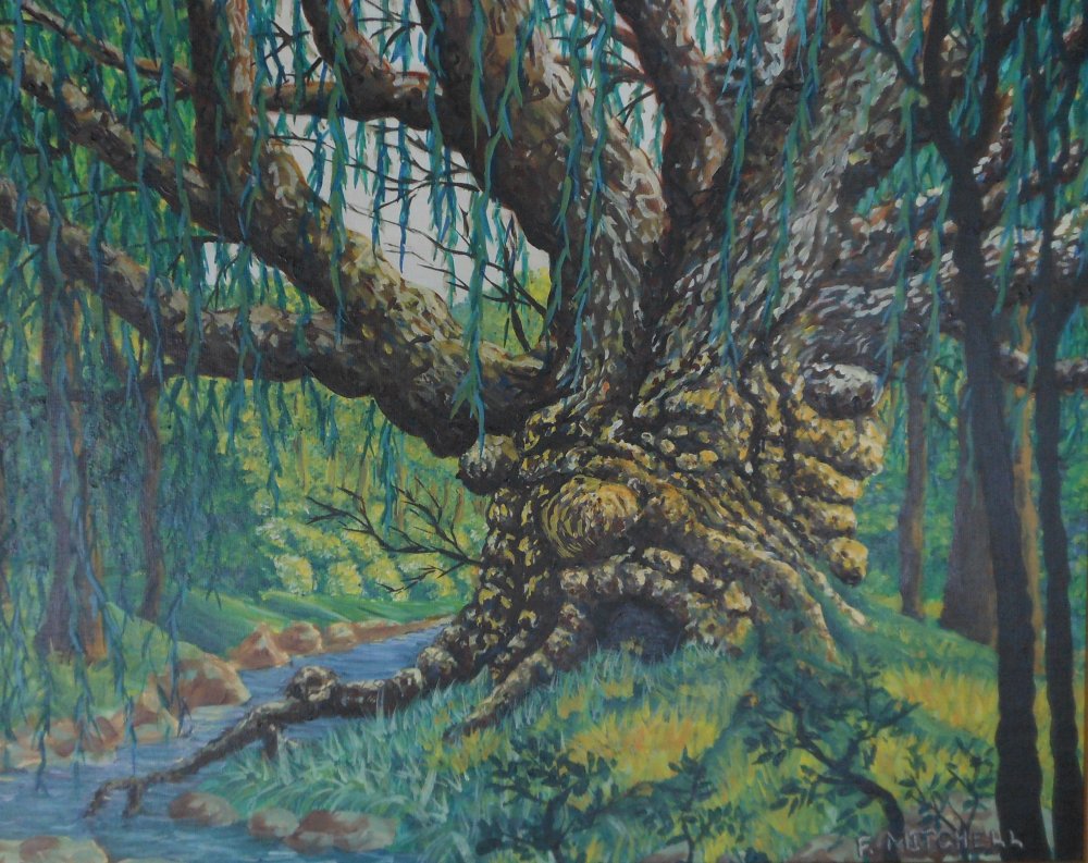 1000x793 Old Man Willow Painting Frank Mitchell - Willow Painting