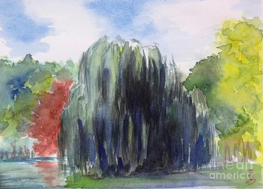 900x649 Willow Tree 2 Hidden Lake Gardens Tipton Michigan Painting By - Willow Tree Painting