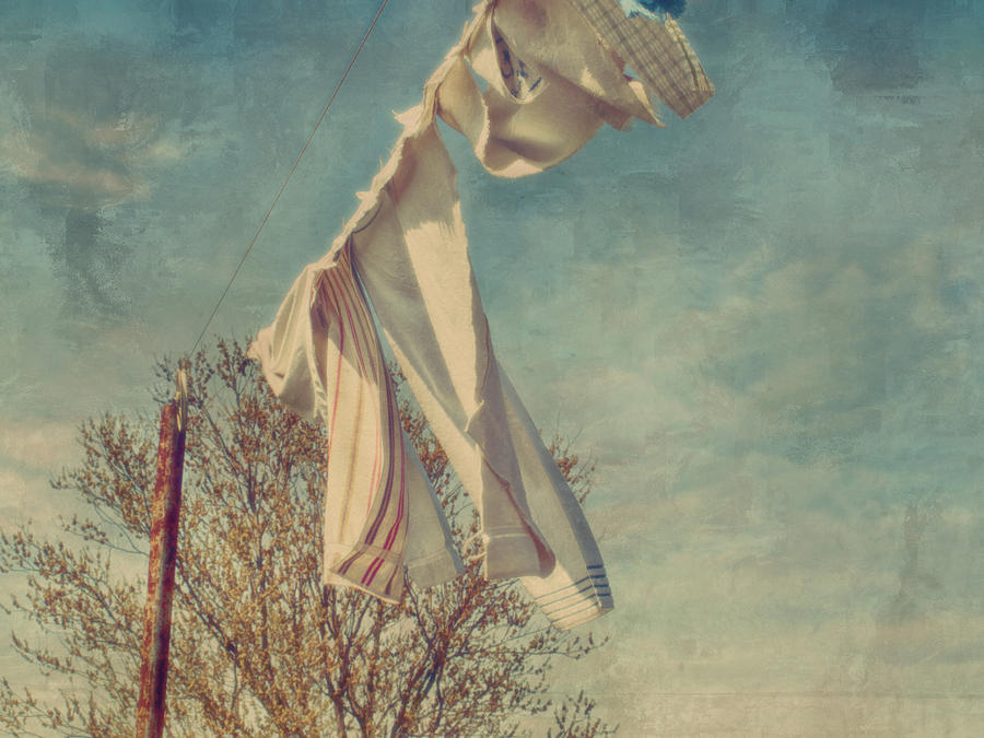 900x675 Blowing In The Wind Spring Is Near Photograph By Kathy Jennings - Wind Blowing Painting