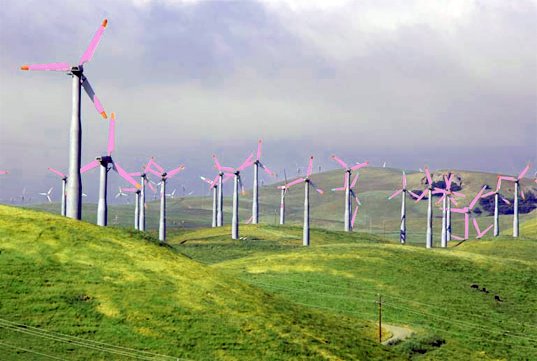 537x361 Painting Wind Turbines Purple Could Save Wildlife, Make Opponents - Wind Turbine Painting