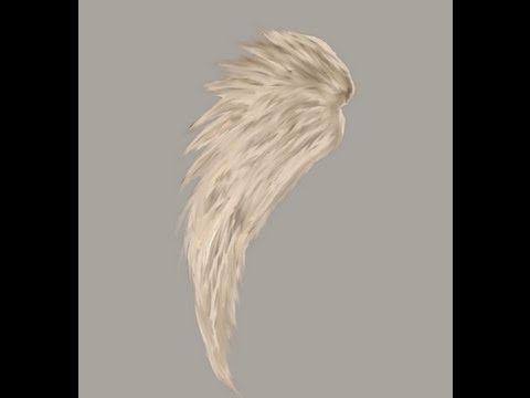 480x360 How To Painting Wings In Paint Shop Pro - Wings Painting