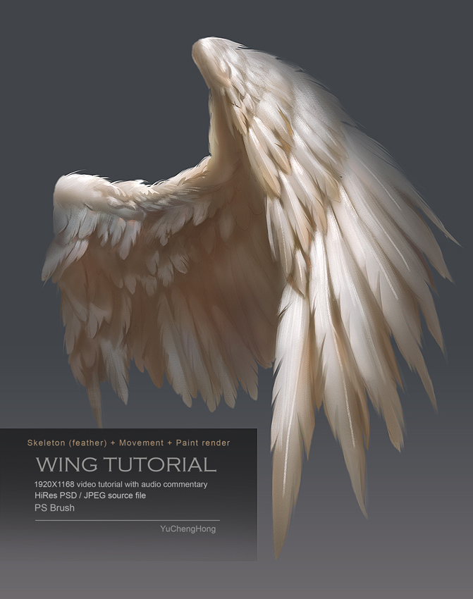 671x850 Wing Tutorial By Yuchenghong - Wings Painting