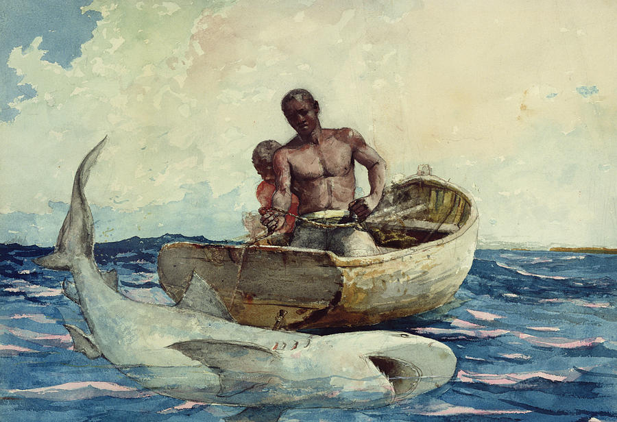 900x616 Shark Fishing Painting By Winslow Homer - Winslow Homer Painting