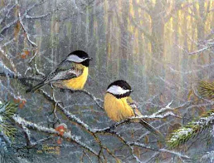 Winter Bird Painting at PaintingValley.com | Explore collection of ...