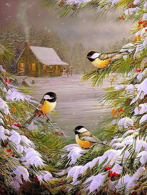 564x749 Homlif Diy Diamond Embroidery,scenic Birds 5d Diamond Painting - Winter Bird Painting