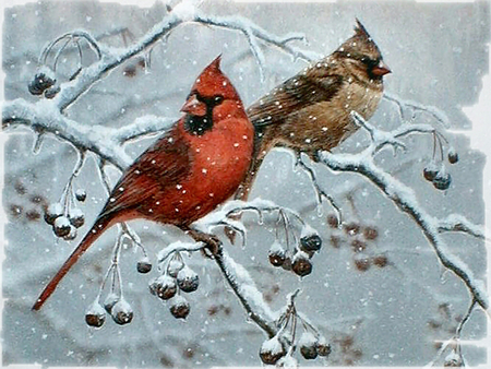 450x338 Winter's Song - Winter Bird Painting