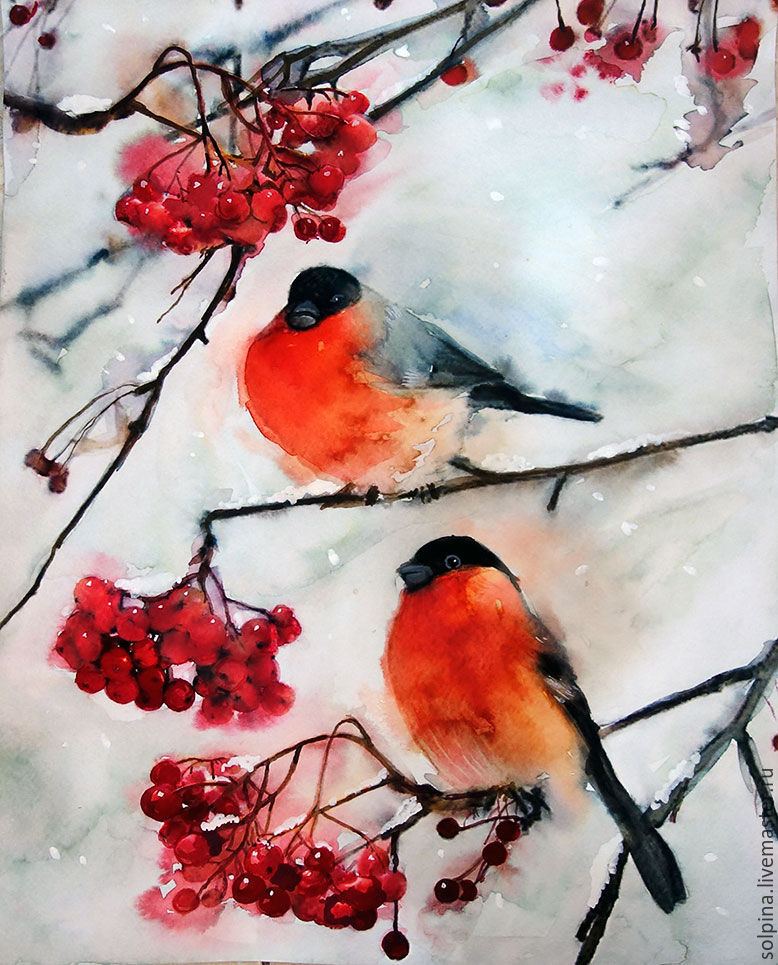 778x965 Winter Guests. Bullfinches (Watercolor) Shopline - Winter Bird Painting